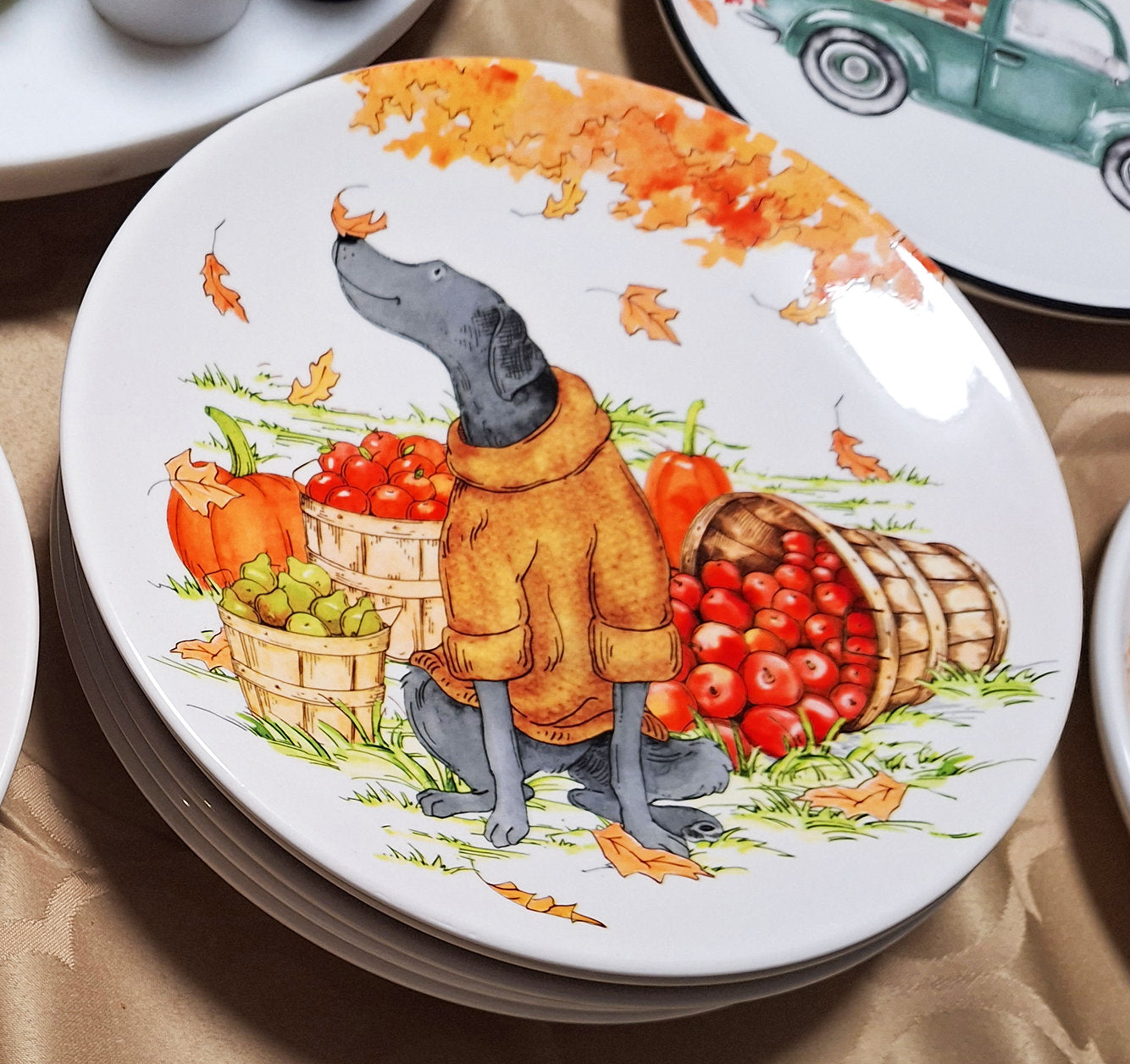 Apples, Pears and Dog with Sweater Plate