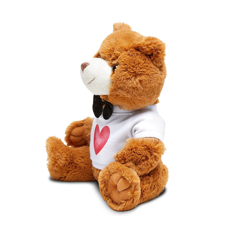 Hearts Teddy Bear with T-Shirt
